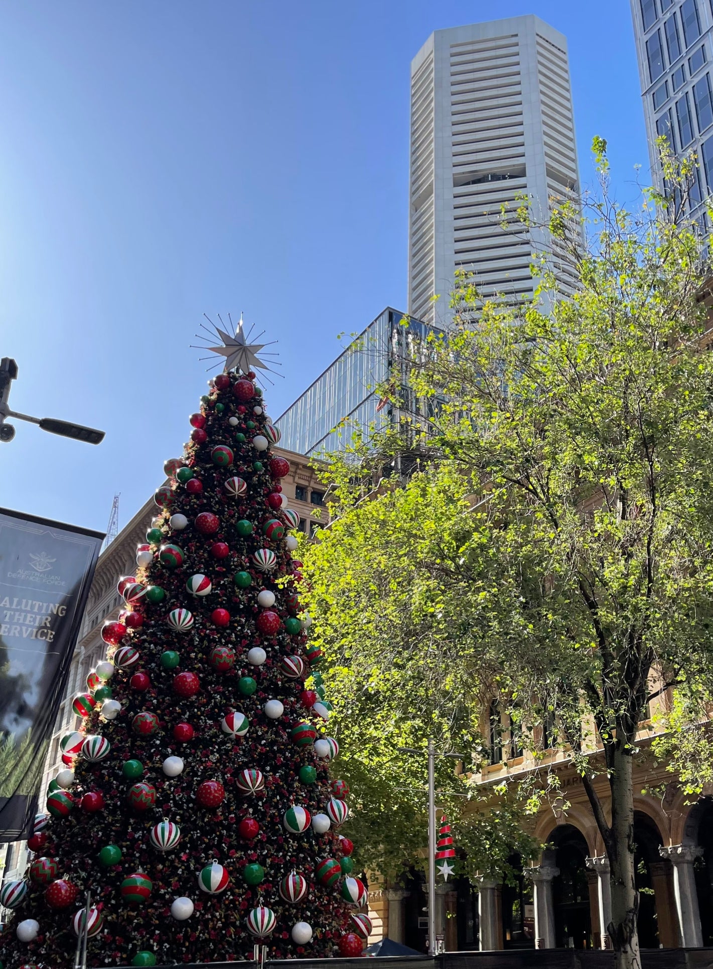 Our Christmas Tree in Sydney