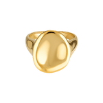 gold filled ring