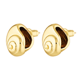 Seashell shaped earrings